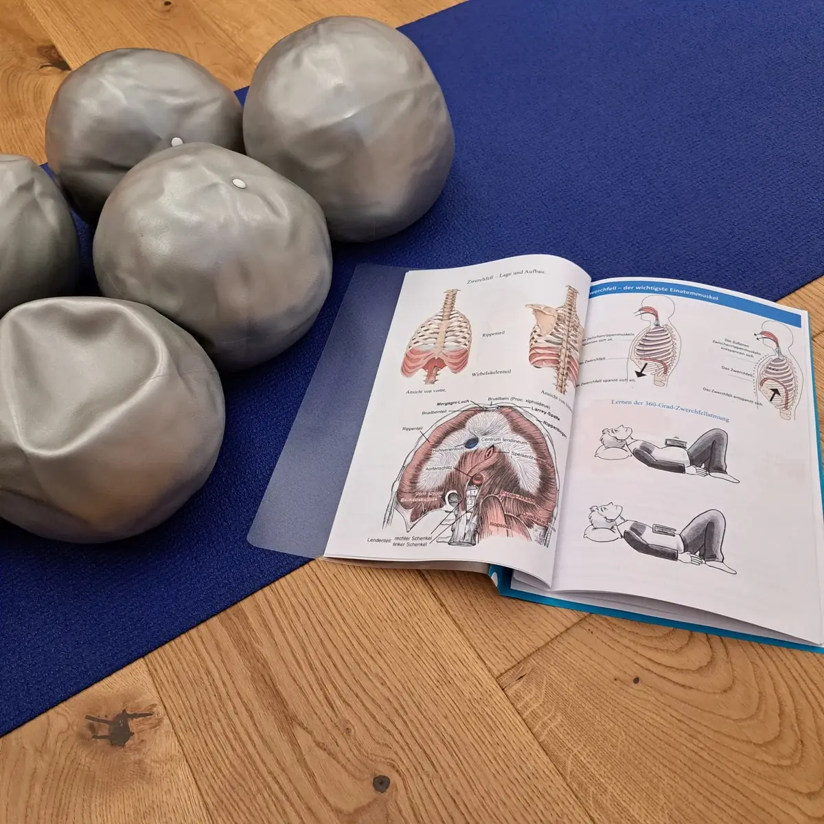 Air Flow Performance breathing-training materials with anatomical models and training balls